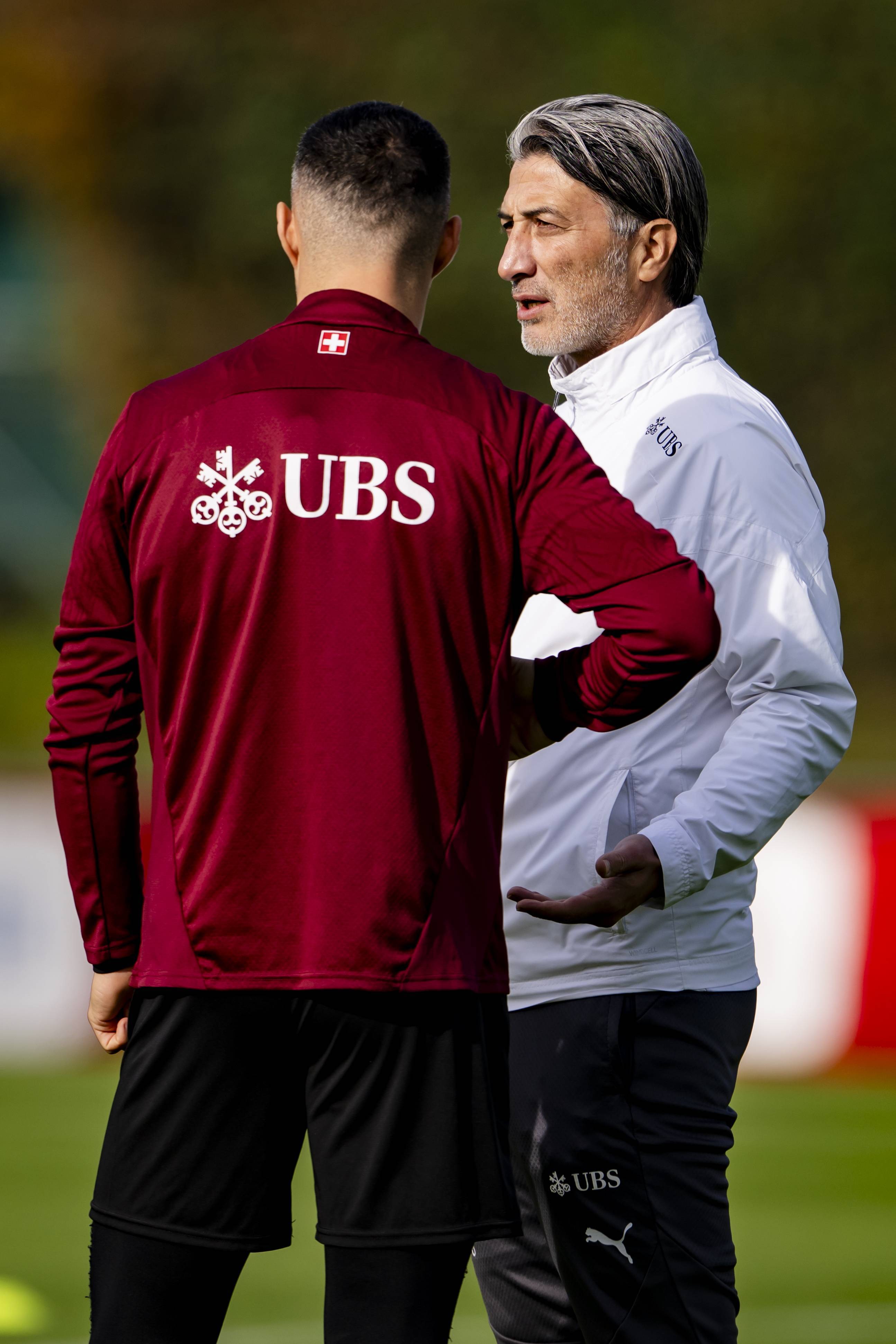 关于窗口期本菲卡迎来里程碑清晨瓦伦西亚调整名单以备欧篮联之后，赛前金州勇士备战欧冠的信息